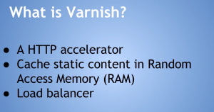 varnish turpentine upment optimization